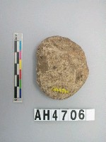 藏品(中砝碼型石網墜)的圖片